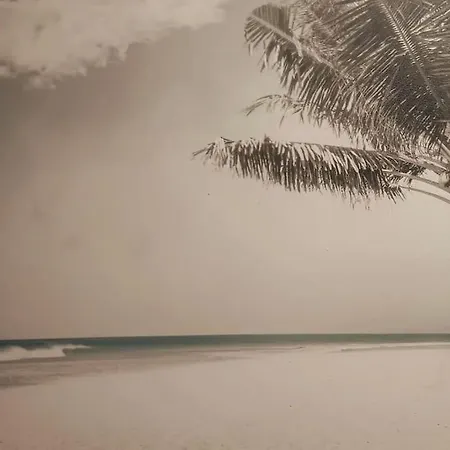 Hébergement de vacances Roberto House *